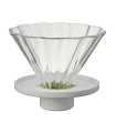 Hario CHA CHA Dripper Bouquet