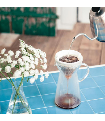 Hario Glass Ice Coffee Maker